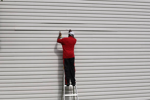 Best Siding Repair  in Salix, PA