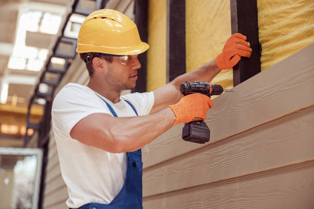 Best Siding Painting and Refinishing  in Salix, PA